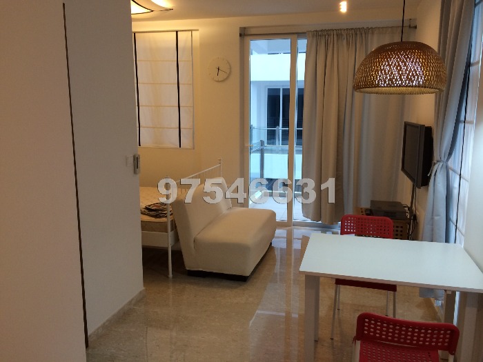Parc Elegance (D15), Apartment #654822